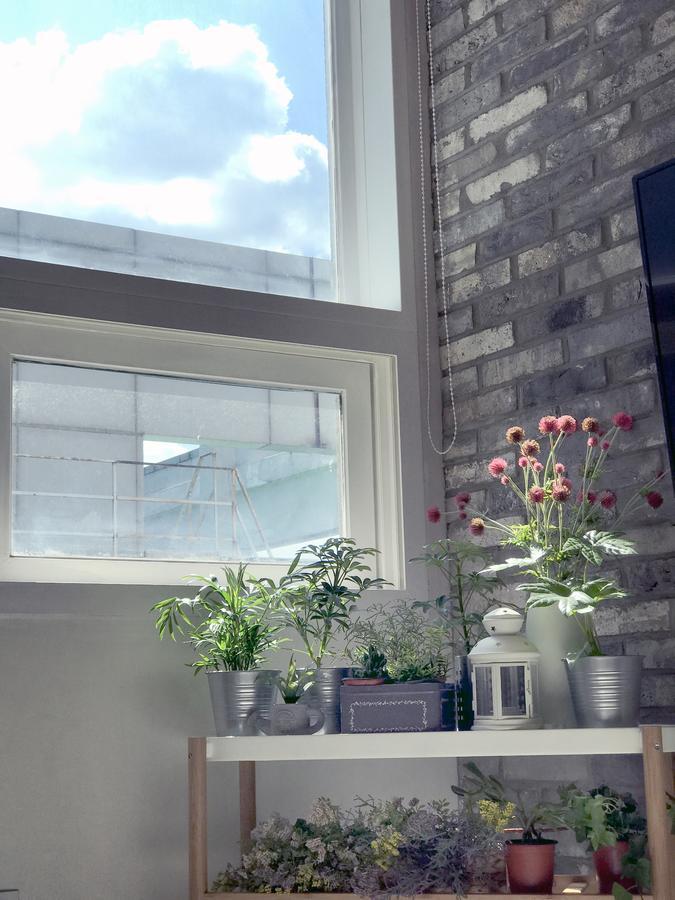Cozy Duplex Hongdae